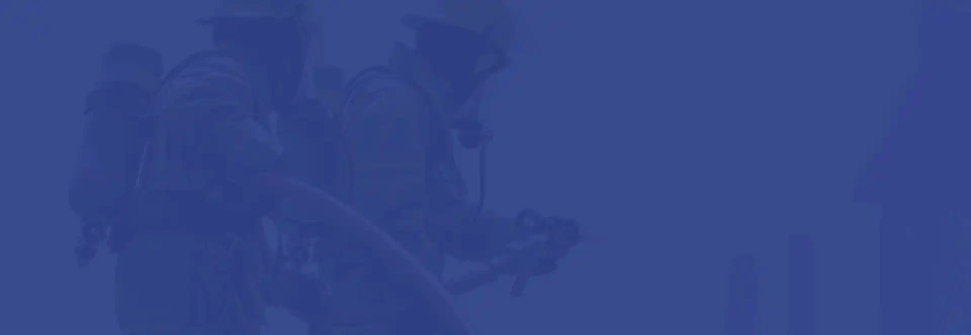 holiday section background